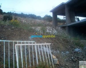Οικόπεδο 12.000 τ.μ. για πώληση, Αργολίδα, Ασκληπιείο-thumb-22