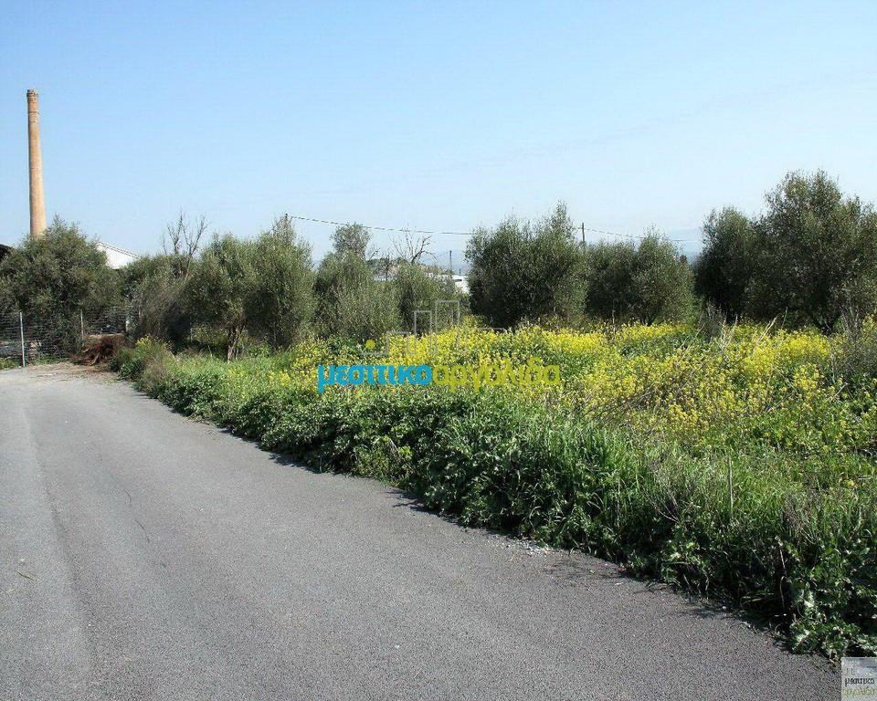 Οικόπεδο 1.500 τ.μ. για πώληση, Αργολίδα, Ναύπλιο