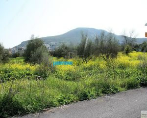 Οικόπεδο 1.500 τ.μ. για πώληση, Αργολίδα, Ναύπλιο-thumb-3