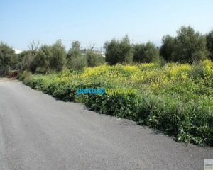 Οικόπεδο 1.500 τ.μ. για πώληση, Αργολίδα, Ναύπλιο-thumb-8