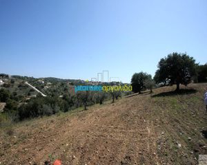 Οικόπεδο 21.000 τ.μ. για πώληση, Αργολίδα, Κρανίδι-thumb-2