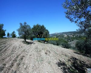 Οικόπεδο 21.000 τ.μ. για πώληση, Αργολίδα, Κρανίδι-thumb-8