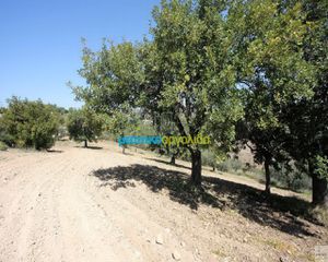 Οικόπεδο 21.000 τ.μ. για πώληση, Αργολίδα, Κρανίδι-thumb-7