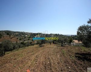 Οικόπεδο 21.000 τ.μ. για πώληση, Αργολίδα, Κρανίδι-thumb-3