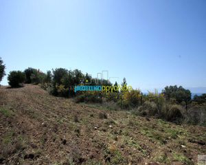 Οικόπεδο 21.000 τ.μ. για πώληση, Αργολίδα, Κρανίδι-thumb-1