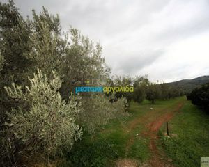 Αγροτεμάχια 3.500 τ.μ. για πώληση