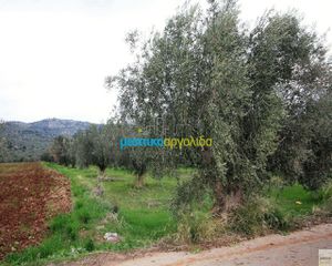 Αγροτεμάχια 3.500 τ.μ. προς πώληση, Φίχτι-thumb-4