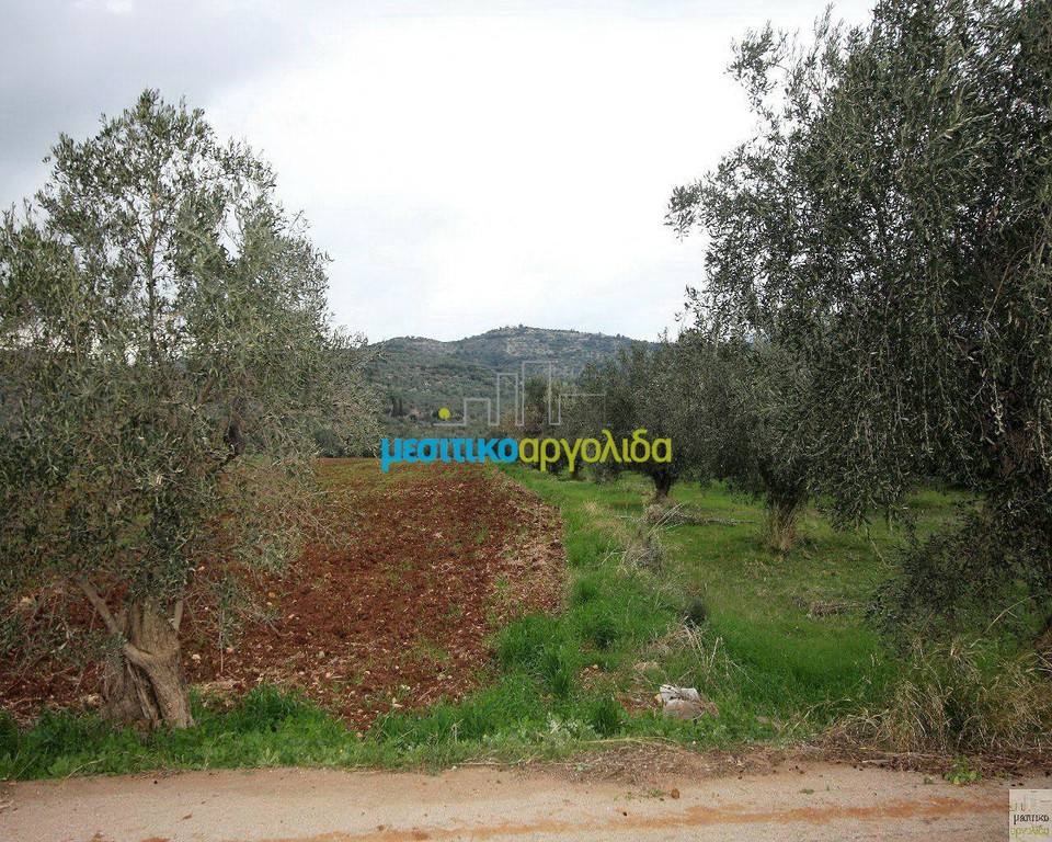 Αγροτεμάχια 3.500 τ.μ. προς πώληση, Φίχτι