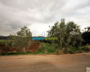 Αγροτεμάχια 3.500 τ.μ. προς πώληση, Φίχτι-thumb-1