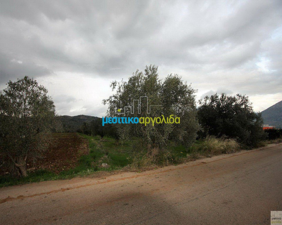 Αγροτεμάχια 3.500 τ.μ. προς πώληση, Φίχτι