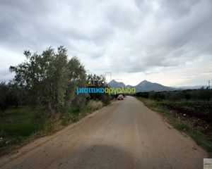 Αγροτεμάχια 3.500 τ.μ. προς πώληση, Φίχτι-thumb-5
