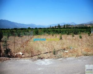 Οικόπεδο 500 τ.μ. για πώληση, Αργολίδα, Κουτσοπόδι-thumb-6