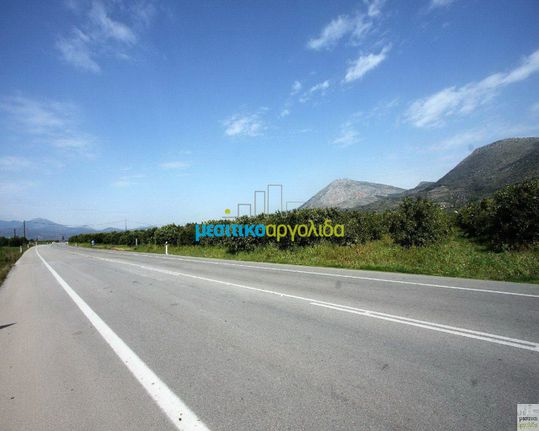 Οικόπεδο 13.000 τ.μ. για πώληση, Αργολίδα, Νέα Τίρυνθα