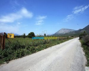 Οικόπεδο 13.000 τ.μ. για πώληση, Αργολίδα, Νέα Τίρυνθα-thumb-11