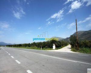 Οικόπεδο 13.000 τ.μ. για πώληση, Αργολίδα, Νέα Τίρυνθα-thumb-8
