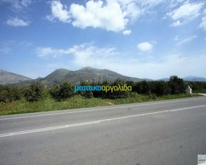 Οικόπεδο 13.000 τ.μ. για πώληση, Αργολίδα, Νέα Τίρυνθα-thumb-4