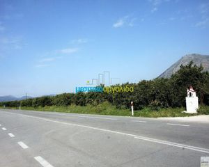 Οικόπεδο 13.000 τ.μ. για πώληση, Αργολίδα, Νέα Τίρυνθα-thumb-7