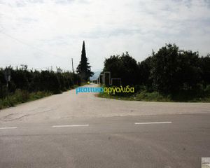 Οικόπεδο 13.000 τ.μ. για πώληση, Αργολίδα, Νέα Τίρυνθα-thumb-15