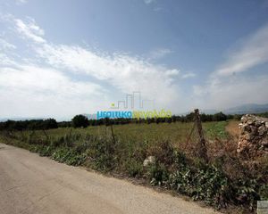 Οικόπεδο 13.000 τ.μ. για πώληση, Αργολίδα, Νέα Τίρυνθα-thumb-13