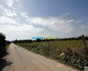 Οικόπεδο 13.000 τ.μ. για πώληση, Αργολίδα, Νέα Τίρυνθα-thumb-14