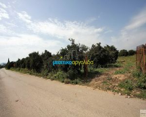 Οικόπεδο 13.000 τ.μ. για πώληση, Αργολίδα, Νέα Τίρυνθα-thumb-9