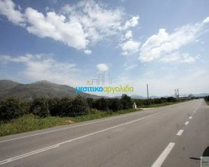 Οικόπεδο 13.000 τ.μ. για πώληση, Αργολίδα, Νέα Τίρυνθα-thumb-1