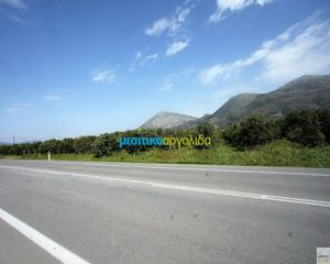 Οικόπεδο 13.000 τ.μ. για πώληση, Αργολίδα, Νέα Τίρυνθα-thumb-3
