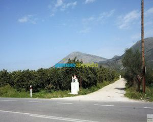 Οικόπεδο 13.000 τ.μ. για πώληση, Αργολίδα, Νέα Τίρυνθα-thumb-6