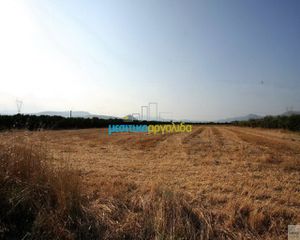 Αγροτεμάχια 7.500 τ.μ. προς πώληση, Κέντρο Νέας Κίου-thumb-2