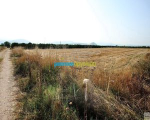 Αγροτεμάχια 7.500 τ.μ. προς πώληση, Κέντρο Νέας Κίου-thumb-4