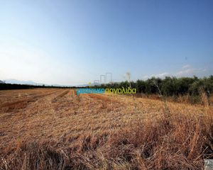 Αγροτεμάχια 7.500 τ.μ. προς πώληση, Κέντρο Νέας Κίου-thumb-1