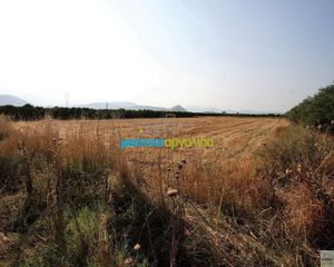 Αγροτεμάχια 7.500 τ.μ. προς πώληση, Κέντρο Νέας Κίου-thumb-3