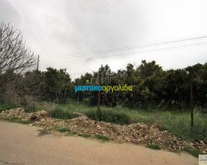 Οικόπεδο 1.000 τ.μ. για πώληση, Αργολίδα, Άργος-thumb-11