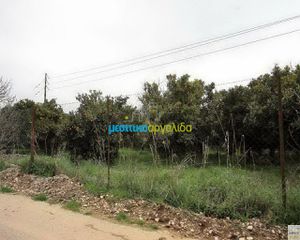 Οικόπεδο 1.000 τ.μ. για πώληση, Αργολίδα, Άργος-thumb-10
