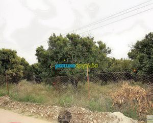 Οικόπεδο 1.000 τ.μ. για πώληση, Αργολίδα, Άργος-thumb-9