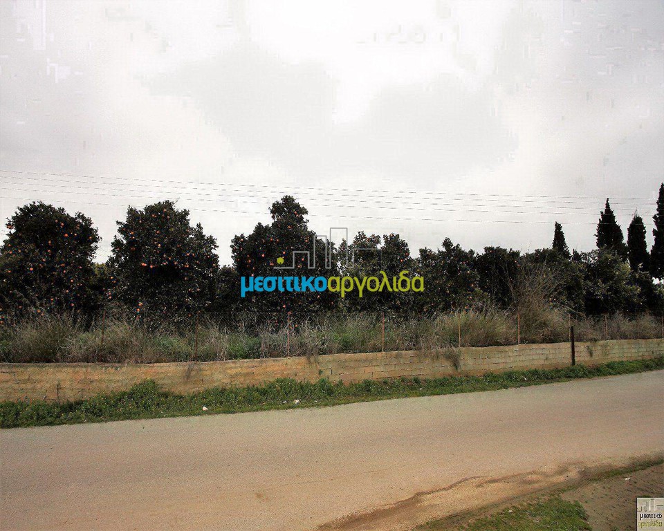 Οικόπεδο 1.000 τ.μ. προς πώληση, Δαλαμανάρα