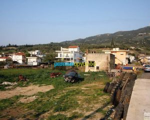 Οικόπεδο 1.299 τ.μ. για πώληση, Κορινθία, Νεμέα-thumb-3