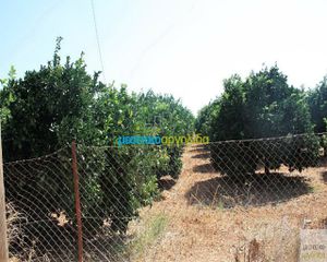 Οικόπεδο 6.127 τ.μ. για πώληση, Αργολίδα, Κουτσοπόδι-thumb-16
