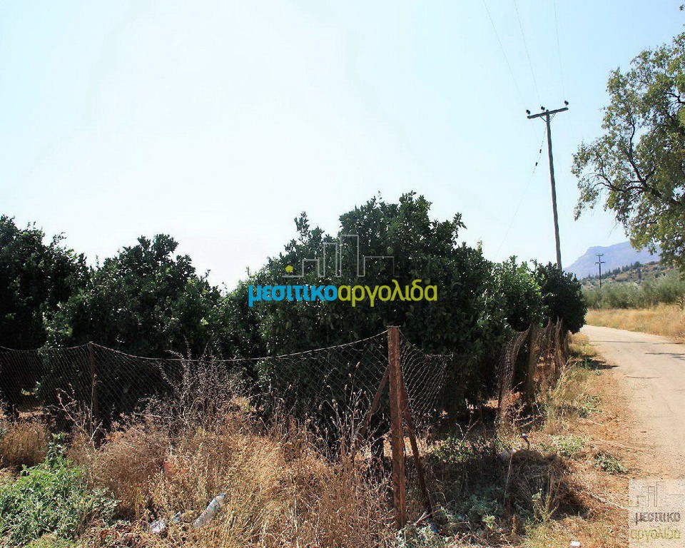 Οικόπεδο 6.127 τ.μ. προς πώληση, Αργολίδα, Κουτσοπόδι