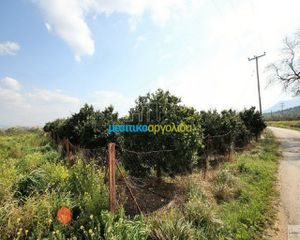 Οικόπεδο 6.127 τ.μ. για πώληση, Αργολίδα, Κουτσοπόδι-thumb-10