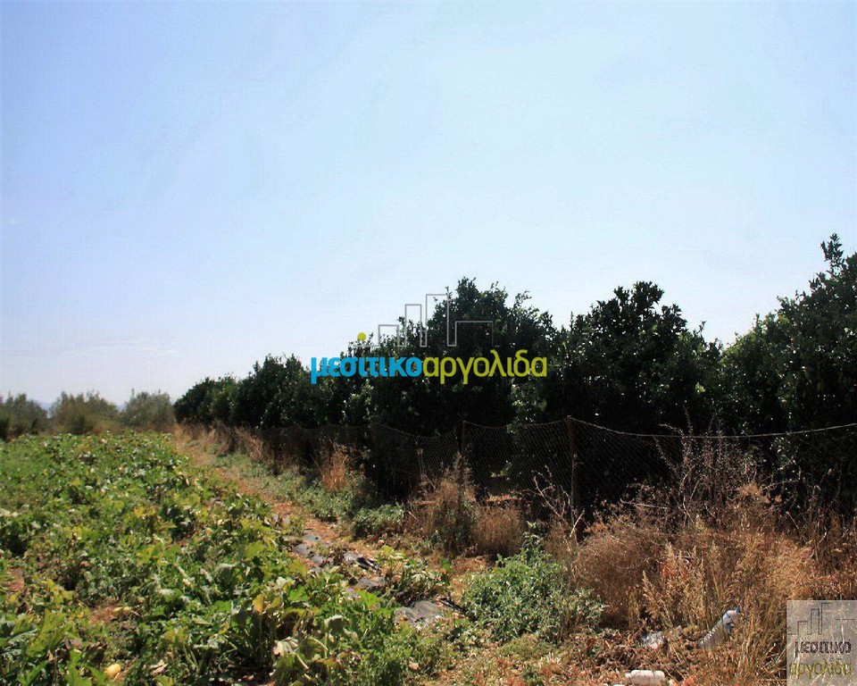 Οικόπεδο 6.127 τ.μ. προς πώληση, Αργολίδα, Κουτσοπόδι