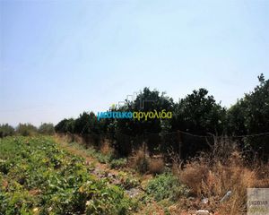 Οικόπεδο 6.127 τ.μ. για πώληση, Αργολίδα, Κουτσοπόδι-thumb-2