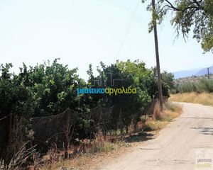 Οικόπεδο 6.127 τ.μ. για πώληση, Αργολίδα, Κουτσοπόδι-thumb-4