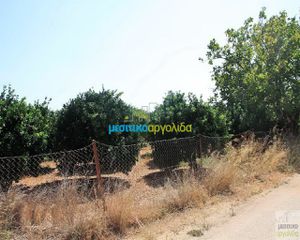 Οικόπεδο 6.127 τ.μ. για πώληση, Αργολίδα, Κουτσοπόδι-thumb-13