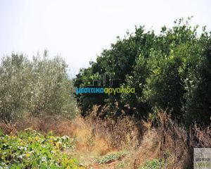Οικόπεδο 6.127 τ.μ. για πώληση, Αργολίδα, Κουτσοπόδι-thumb-1