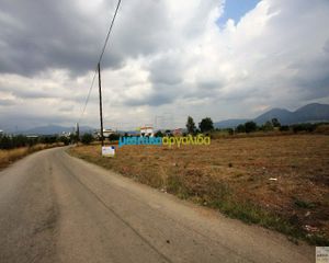 Οικόπεδο 3.135 τ.μ. για πώληση, Αργολίδα, Κουτσοπόδι-thumb-18
