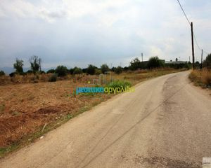 Οικόπεδο 3.135 τ.μ. για πώληση, Αργολίδα, Κουτσοπόδι-thumb-5