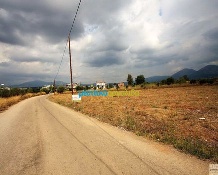 Οικόπεδο 3.135 τ.μ. για πώληση