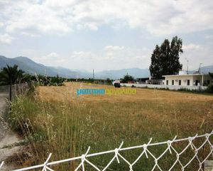 Οικόπεδο 8.000 τ.μ. για πώληση, Αργολίδα, Άργος-thumb-2