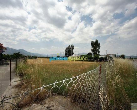 Οικόπεδο 8.000 τ.μ. για πώληση